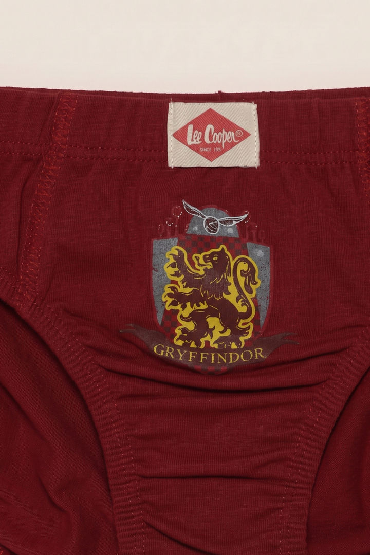 Lee Cooper Boys Harry Potter Briefs (Pack of 3) - Multicolor — image 10